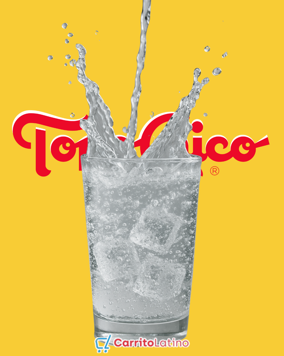 Topo Chico Agua Mineral 20oz