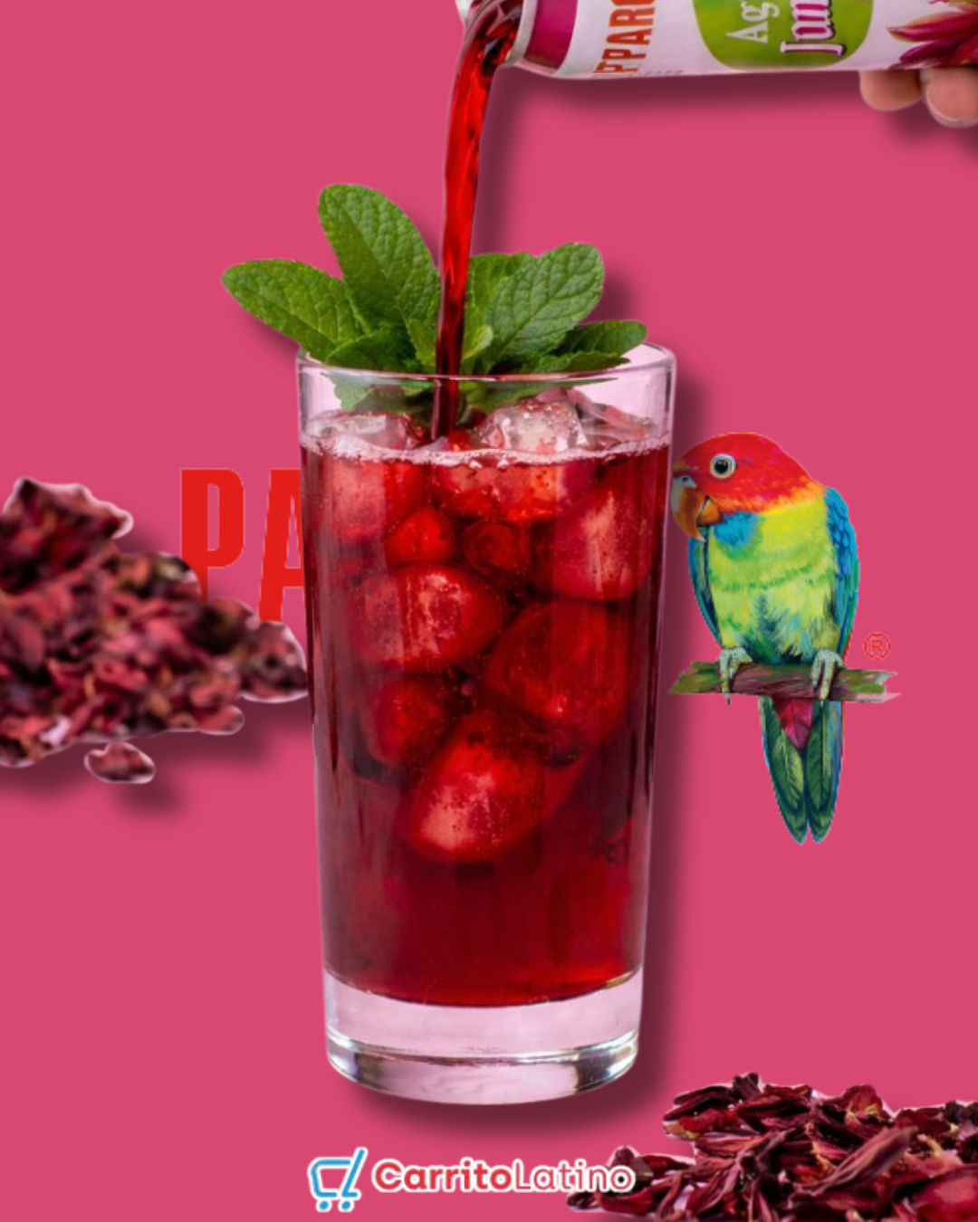 Bebida de Jamaica 16.4 oz (Lata)